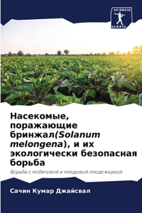 Насекомые, поражающие бринжал(Solanum melongena), и их экол