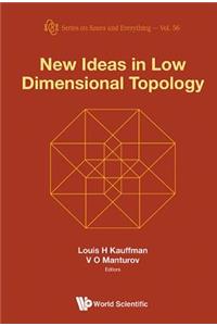 New Ideas in Low Dimensional Topology