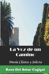 La Voz de Un Camino