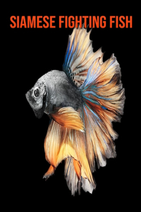 Siamese Fighting Fish