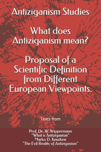 Antiziganism Studies