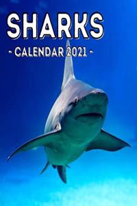 Sharks Calendar 2021