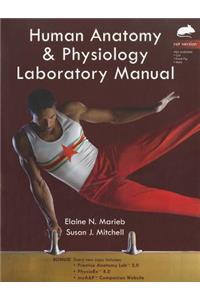 Human Anatomy & Physiology Laboratory Manual: Rat Version