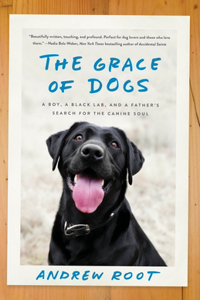 Grace of Dogs: A Boy, a Black Lab, and a Father's Search for the Canine Soul