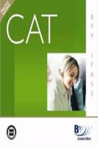 CAT - 8 Implementing Audit Procedures (INT)