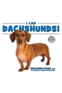 I Like Dachshunds!
