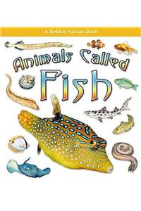 Animals Called Fish