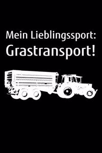 Mein Lieblingssport