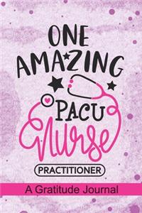 One Amazing PACU Nurse Practitioner - A Gratitude Journal