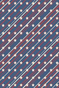 Patriotic Pattern United States of America 56