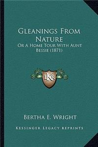 Gleanings From Nature
