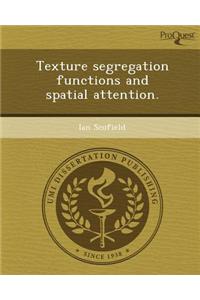 Texture Segregation Functions and Spatial Attention