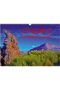 Tenerife Flore Des Volcans 2018