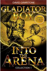 Into the Arena