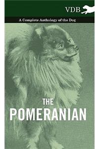 The Pomeranian - A Complete Anthology of the Dog
