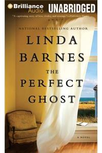 The Perfect Ghost
