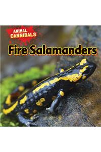 Fire Salamanders