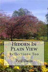 Hidden In Plain View