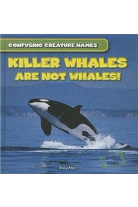 Killer Whales Are Not Whales!