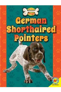 German Shorthaired Pointers