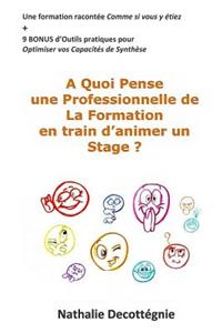 A Quoi Pense une Professionnelle de La Formation en train d'animer un Stage ?