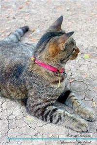 Thai Cat Affirmations Workbook Thai Cat Presents: Positive and Loving Affirmations Workbook. Includes: Mentoring Questions, Guidance, Supporting You.