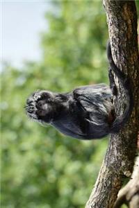 Javan Lutung Monkey Journal
