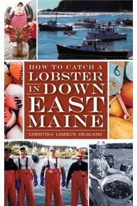 How to Catch a Lobster in Down East Maine