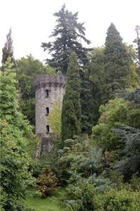 Fairy Tale Tower in an Enchanted Forest Journal