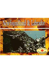 Newfoundland and Labrador