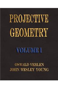 Projective Geometry - Volume I