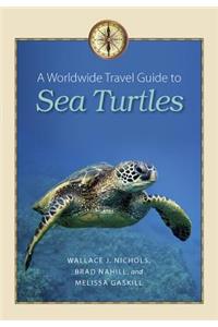 A Worldwide Travel Guide to Sea Turtles