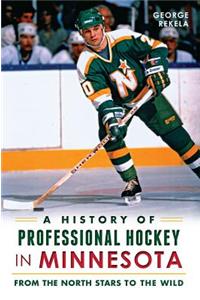 History of Professional Hockey in Minnesota