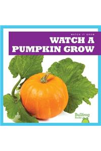 Watch a Pumpkin Grow