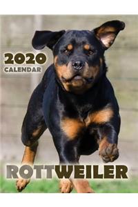 Rottweiler 2020 Calendar
