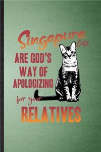 Singapura Cats Are God's Way of Apologizing for Your Relatives