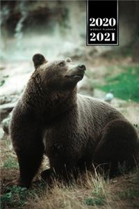 Bear Bruin Grizzly Week Planner Weekly Organizer Calendar 2020 / 2021 - Dreamy Sitting