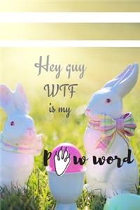 WTF is my PAWword - Rabbit & Bunny password book: Internet Password Logbook, Tracker: Large Print Wide Rows Alphabetic Organizer (6"x 9"): Elderly & Low Vision friendly: Funny Gift for Seniors/Paren