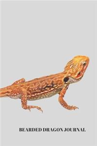 Bearded Dragon Journal