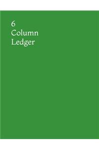 6 Column Ledger
