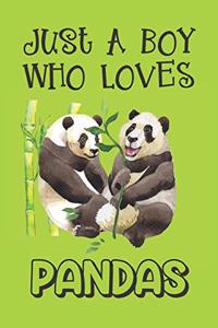 Just A Boy Who Loves Pandas