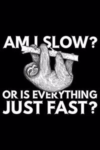 Am I Slow? Or Is Everything Just Fast?