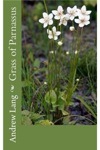 Grass of Parnassus