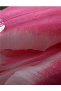 Tulip Cupcake Liners Tie Dye Bulbs Fabric Paint Markers Artificial Flowers