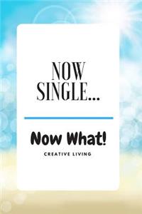 Now Single - Now What