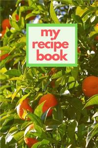 My Recipe Book