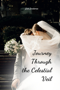 Journey Through the Celestial Veil