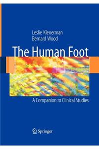 Human Foot