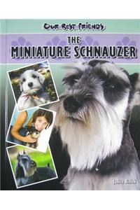 Miniature Schnauzer