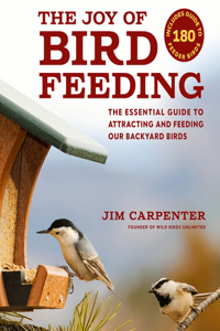 Joy of Bird Feeding